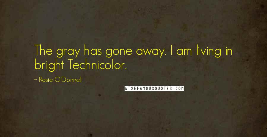 Rosie O'Donnell Quotes: The gray has gone away. I am living in bright Technicolor.