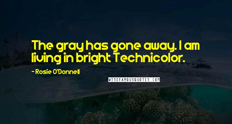 Rosie O'Donnell Quotes: The gray has gone away. I am living in bright Technicolor.