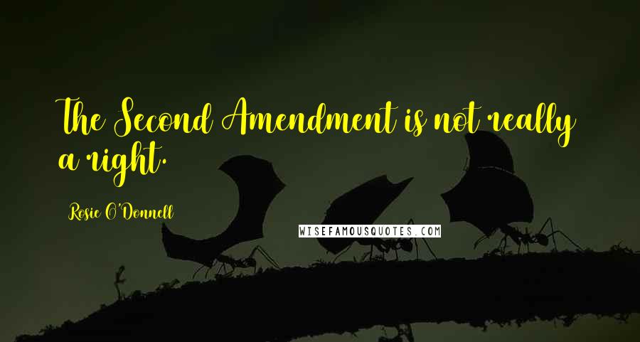 Rosie O'Donnell Quotes: The Second Amendment is not really a right.