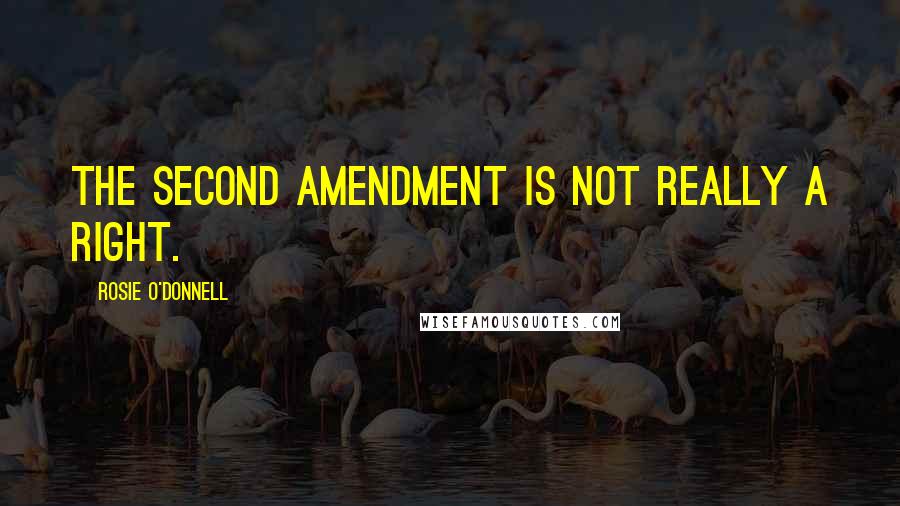 Rosie O'Donnell Quotes: The Second Amendment is not really a right.