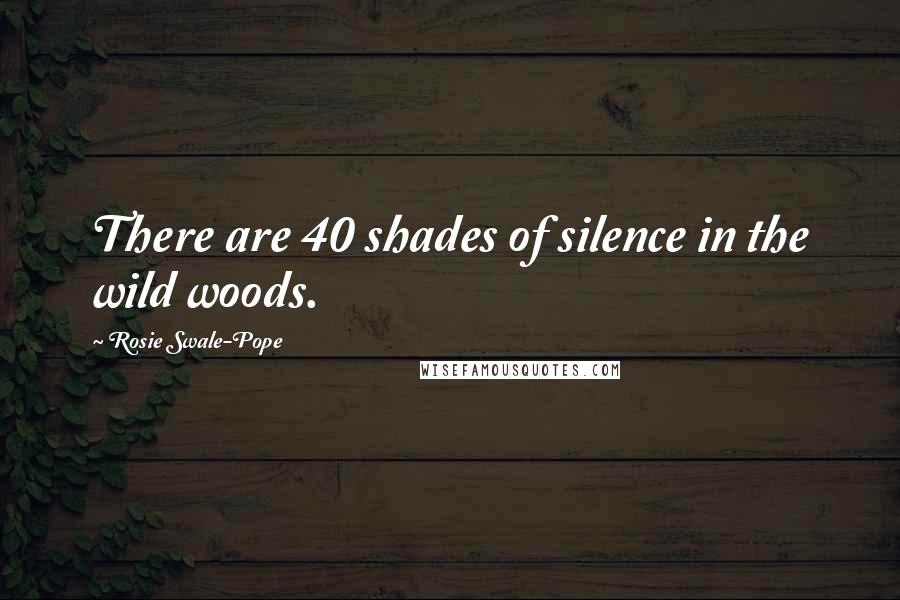 Rosie Swale-Pope Quotes: There are 40 shades of silence in the wild woods.