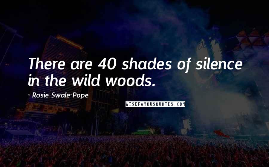 Rosie Swale-Pope Quotes: There are 40 shades of silence in the wild woods.