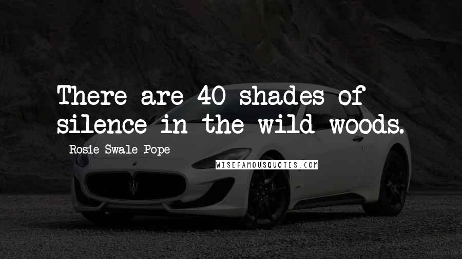 Rosie Swale-Pope Quotes: There are 40 shades of silence in the wild woods.