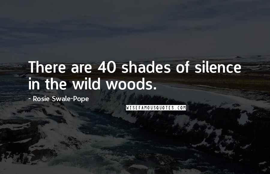 Rosie Swale-Pope Quotes: There are 40 shades of silence in the wild woods.