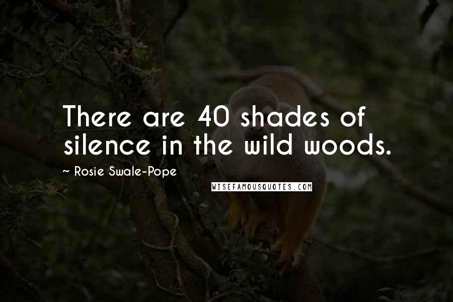 Rosie Swale-Pope Quotes: There are 40 shades of silence in the wild woods.