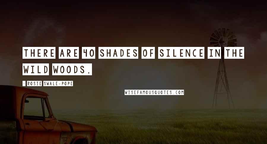 Rosie Swale-Pope Quotes: There are 40 shades of silence in the wild woods.