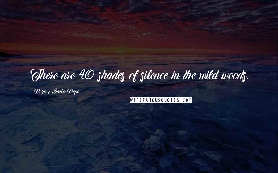 Rosie Swale-Pope Quotes: There are 40 shades of silence in the wild woods.