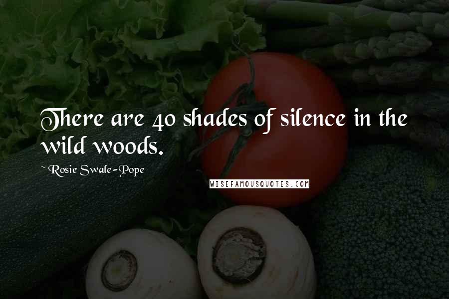 Rosie Swale-Pope Quotes: There are 40 shades of silence in the wild woods.