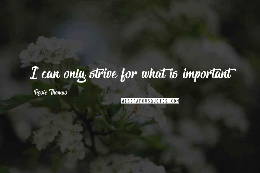 Rosie Thomas Quotes: I can only strive for what is important