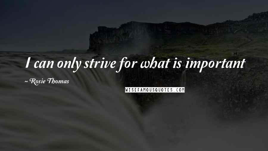 Rosie Thomas Quotes: I can only strive for what is important