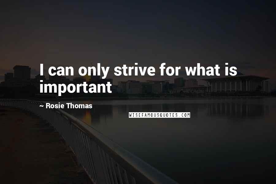 Rosie Thomas Quotes: I can only strive for what is important