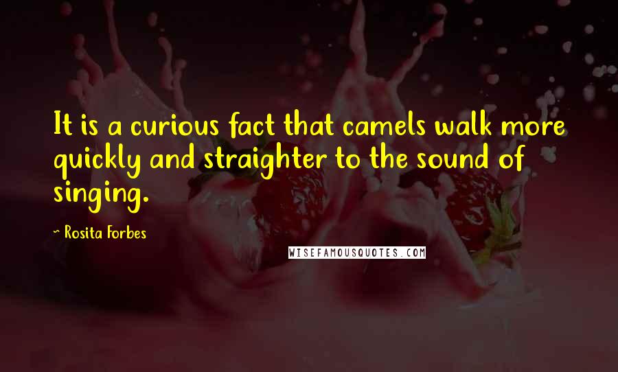 Rosita Forbes Quotes: It is a curious fact that camels walk more quickly and straighter to the sound of singing.