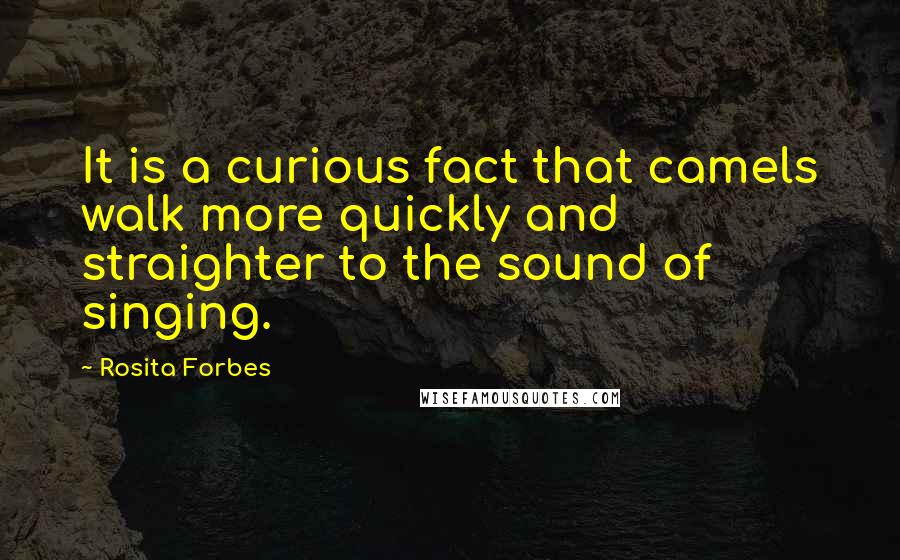 Rosita Forbes Quotes: It is a curious fact that camels walk more quickly and straighter to the sound of singing.
