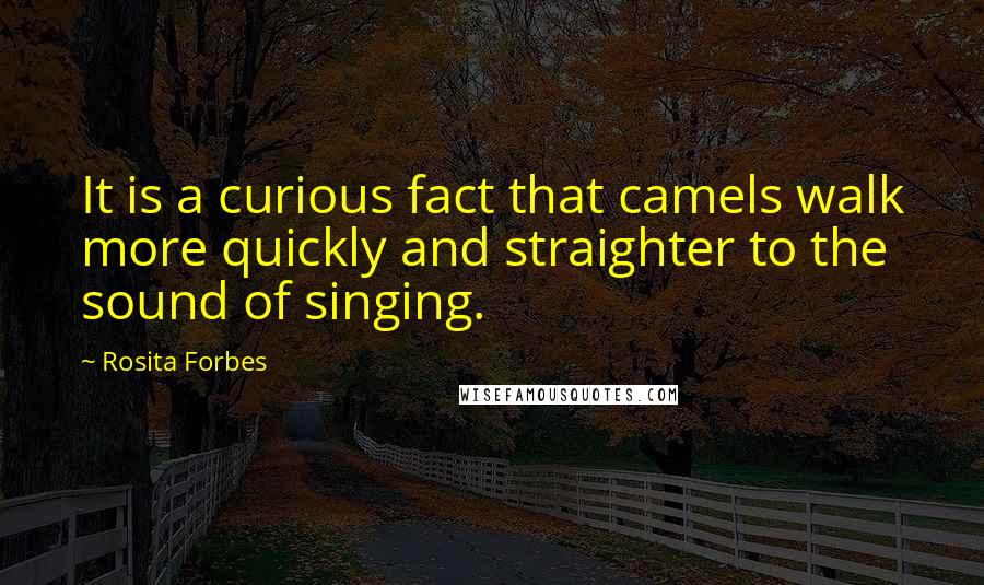 Rosita Forbes Quotes: It is a curious fact that camels walk more quickly and straighter to the sound of singing.