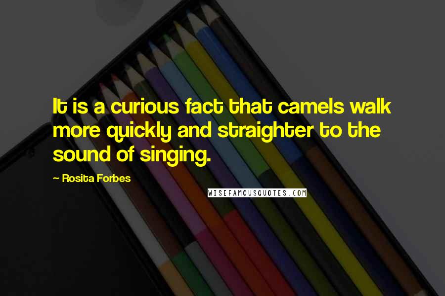 Rosita Forbes Quotes: It is a curious fact that camels walk more quickly and straighter to the sound of singing.