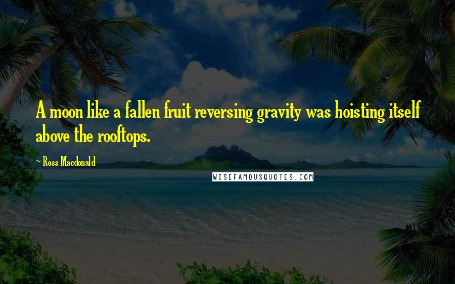 Ross Macdonald Quotes: A moon like a fallen fruit reversing gravity was hoisting itself above the rooftops.