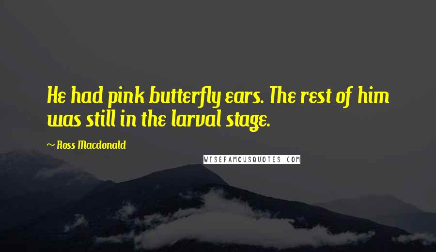 Ross Macdonald Quotes: He had pink butterfly ears. The rest of him was still in the larval stage.