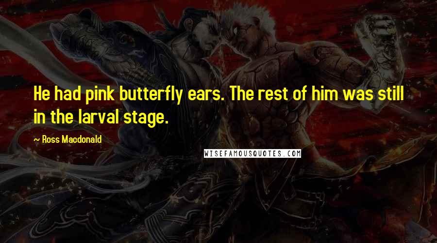 Ross Macdonald Quotes: He had pink butterfly ears. The rest of him was still in the larval stage.