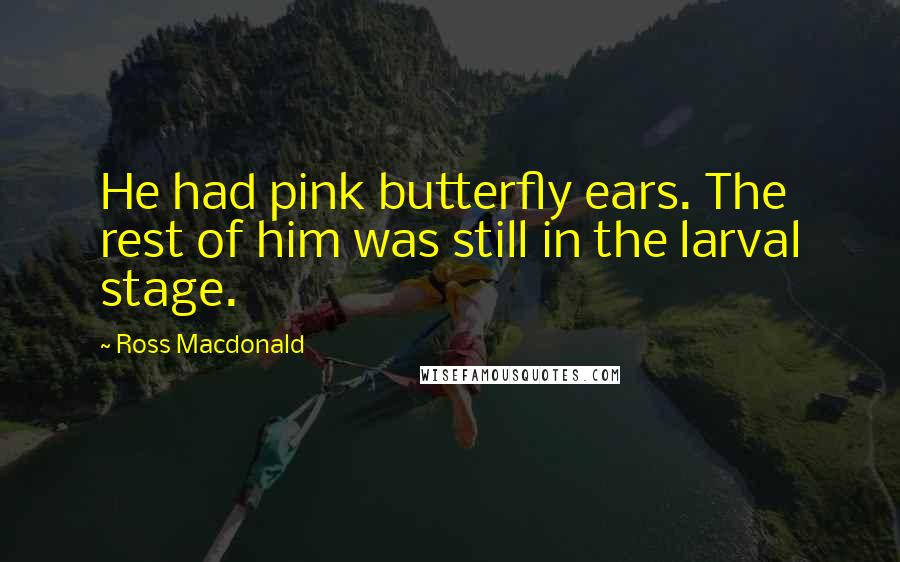 Ross Macdonald Quotes: He had pink butterfly ears. The rest of him was still in the larval stage.