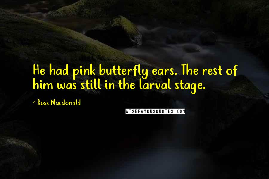 Ross Macdonald Quotes: He had pink butterfly ears. The rest of him was still in the larval stage.