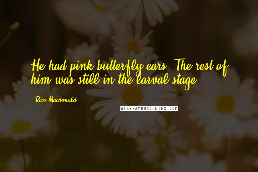 Ross Macdonald Quotes: He had pink butterfly ears. The rest of him was still in the larval stage.