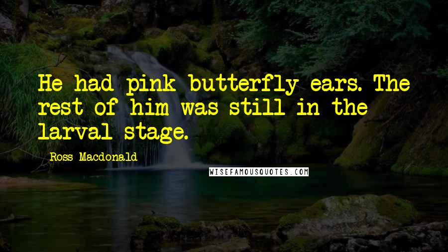 Ross Macdonald Quotes: He had pink butterfly ears. The rest of him was still in the larval stage.