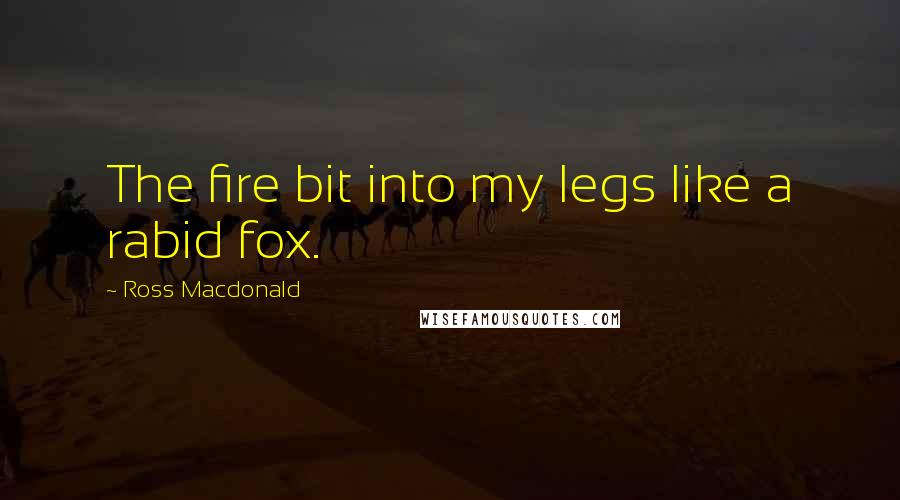 Ross Macdonald Quotes: The fire bit into my legs like a rabid fox.