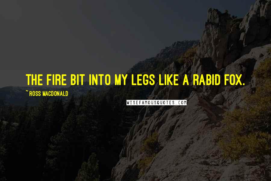 Ross Macdonald Quotes: The fire bit into my legs like a rabid fox.