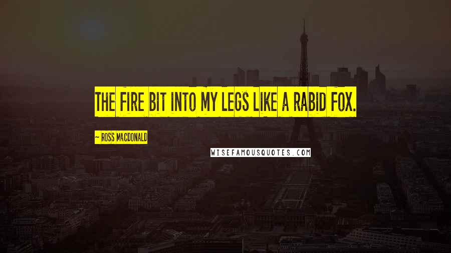 Ross Macdonald Quotes: The fire bit into my legs like a rabid fox.