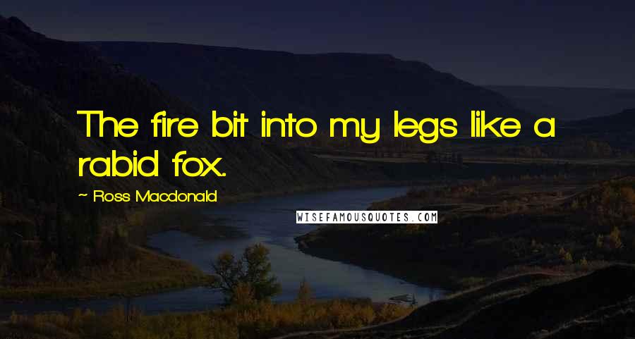 Ross Macdonald Quotes: The fire bit into my legs like a rabid fox.