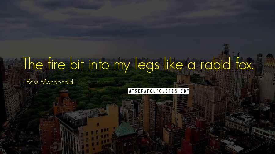 Ross Macdonald Quotes: The fire bit into my legs like a rabid fox.