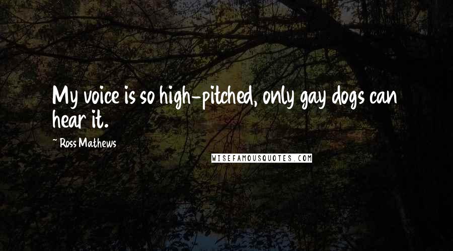 Ross Mathews Quotes: My voice is so high-pitched, only gay dogs can hear it.