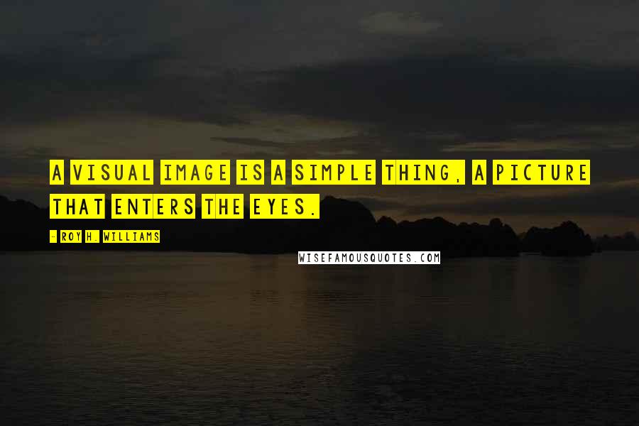 Roy H. Williams Quotes: A visual image is a simple thing, a picture that enters the eyes.