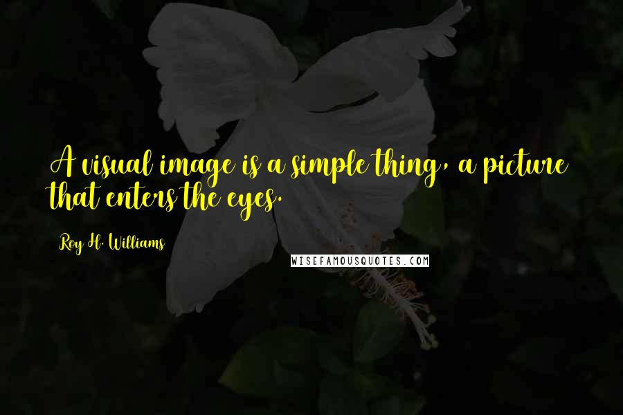 Roy H. Williams Quotes: A visual image is a simple thing, a picture that enters the eyes.