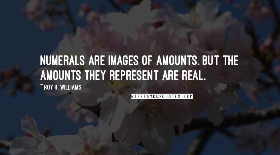 Roy H. Williams Quotes: Numerals are images of amounts. But the amounts they represent are real.