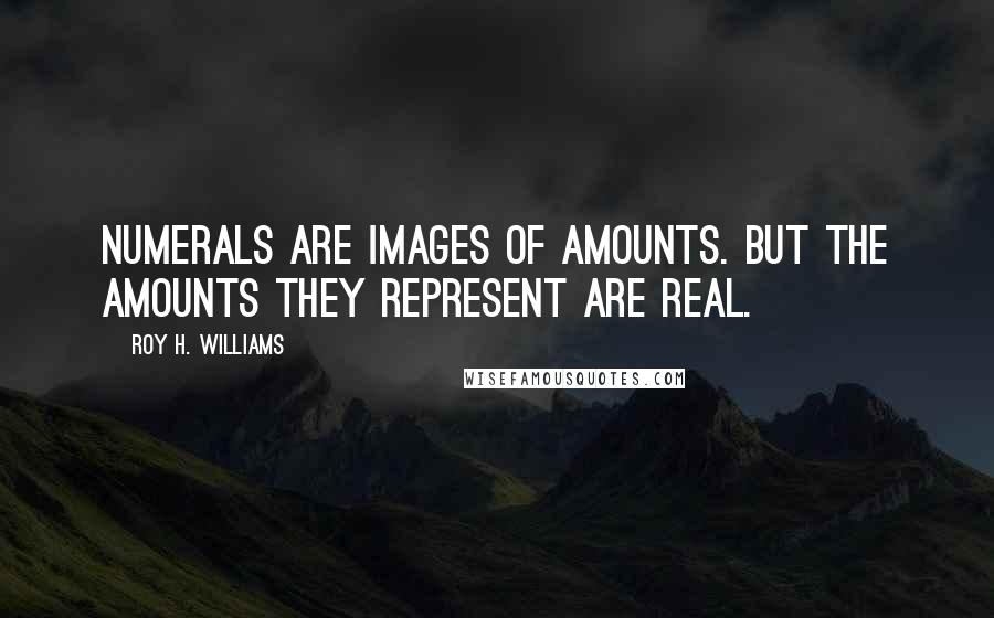 Roy H. Williams Quotes: Numerals are images of amounts. But the amounts they represent are real.