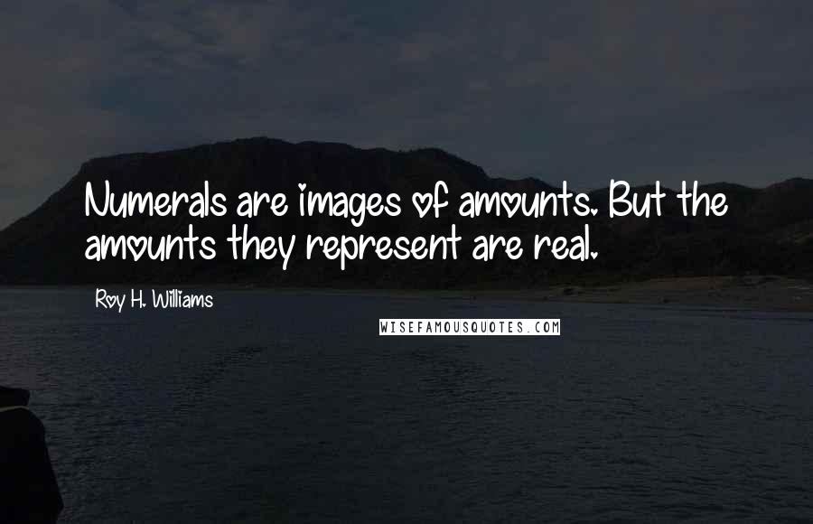 Roy H. Williams Quotes: Numerals are images of amounts. But the amounts they represent are real.