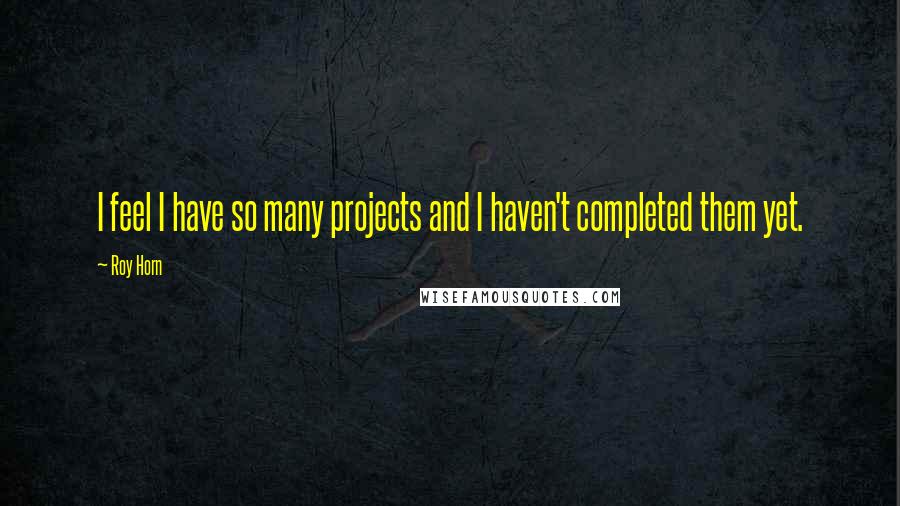 Roy Horn Quotes: I feel I have so many projects and I haven't completed them yet.