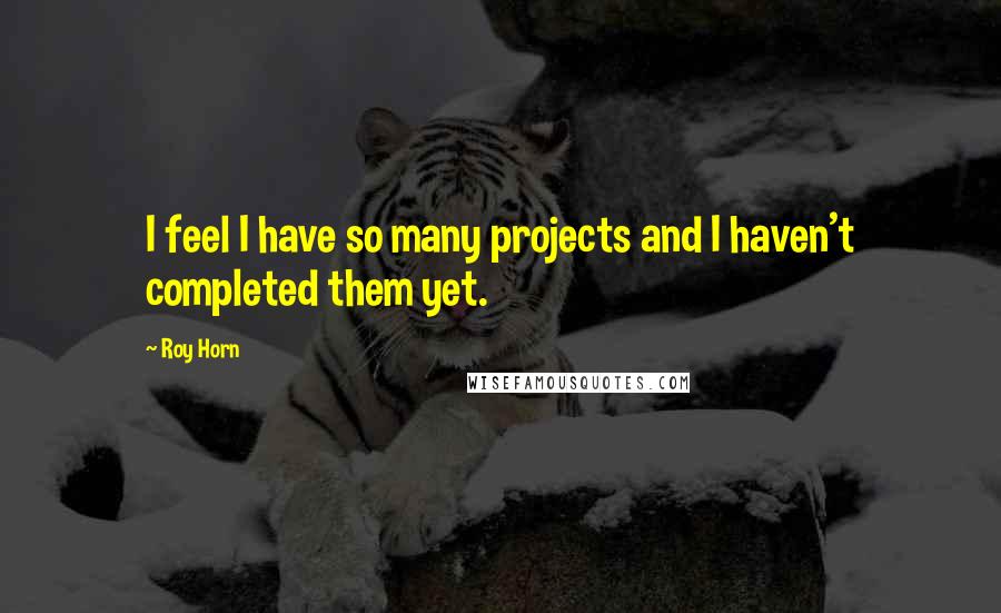 Roy Horn Quotes: I feel I have so many projects and I haven't completed them yet.