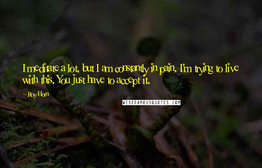 Roy Horn Quotes: I meditate a lot, but I am constantly in pain. I'm trying to live with this. You just have to accept it.