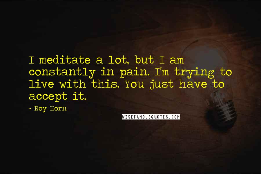 Roy Horn Quotes: I meditate a lot, but I am constantly in pain. I'm trying to live with this. You just have to accept it.