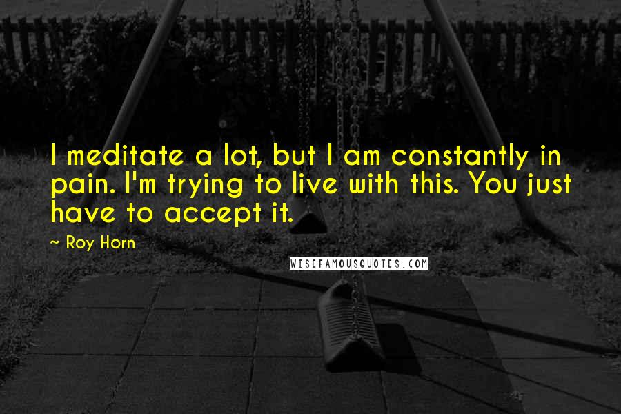 Roy Horn Quotes: I meditate a lot, but I am constantly in pain. I'm trying to live with this. You just have to accept it.