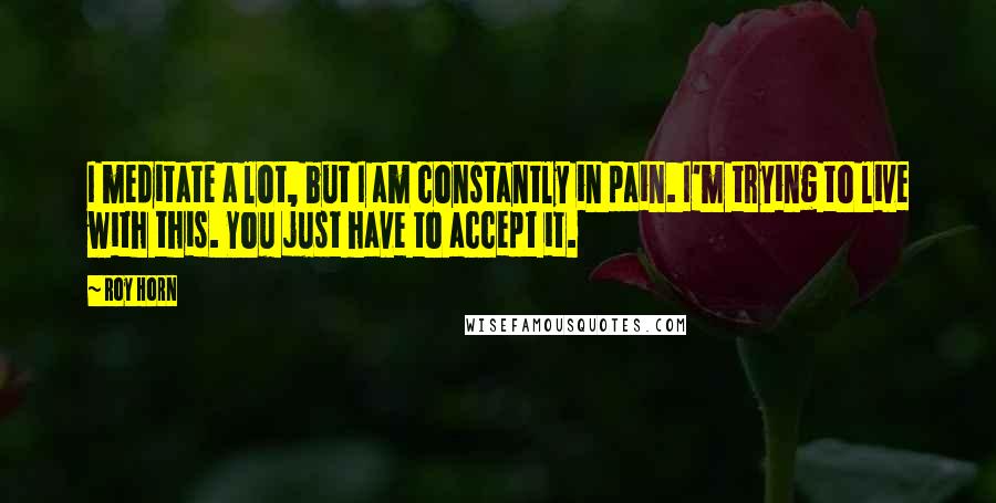 Roy Horn Quotes: I meditate a lot, but I am constantly in pain. I'm trying to live with this. You just have to accept it.