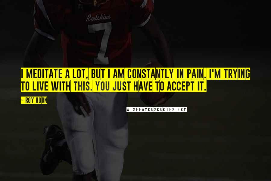 Roy Horn Quotes: I meditate a lot, but I am constantly in pain. I'm trying to live with this. You just have to accept it.