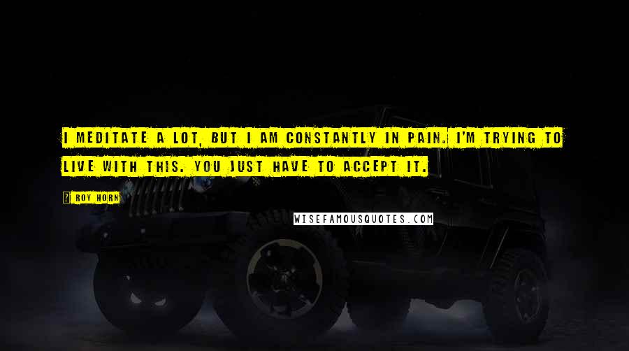 Roy Horn Quotes: I meditate a lot, but I am constantly in pain. I'm trying to live with this. You just have to accept it.