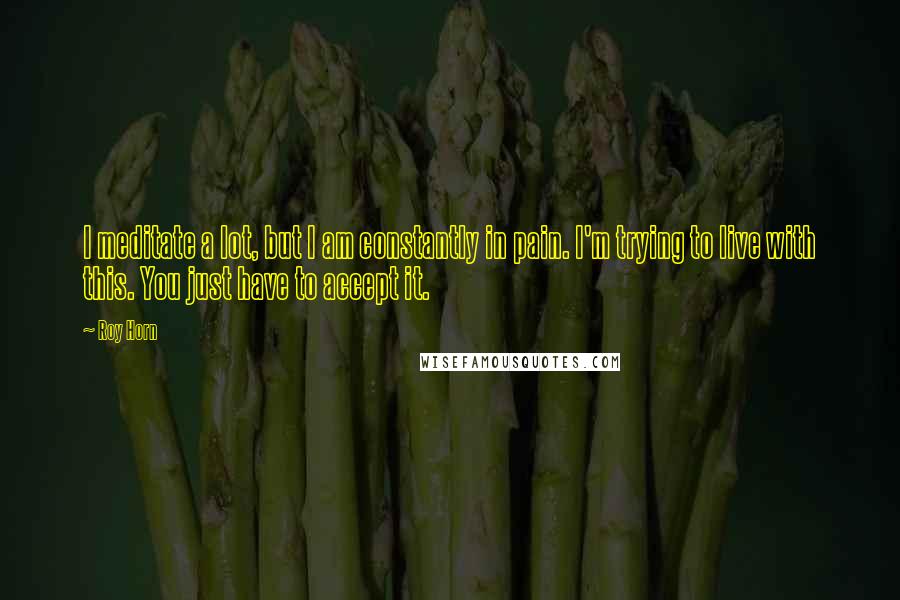 Roy Horn Quotes: I meditate a lot, but I am constantly in pain. I'm trying to live with this. You just have to accept it.