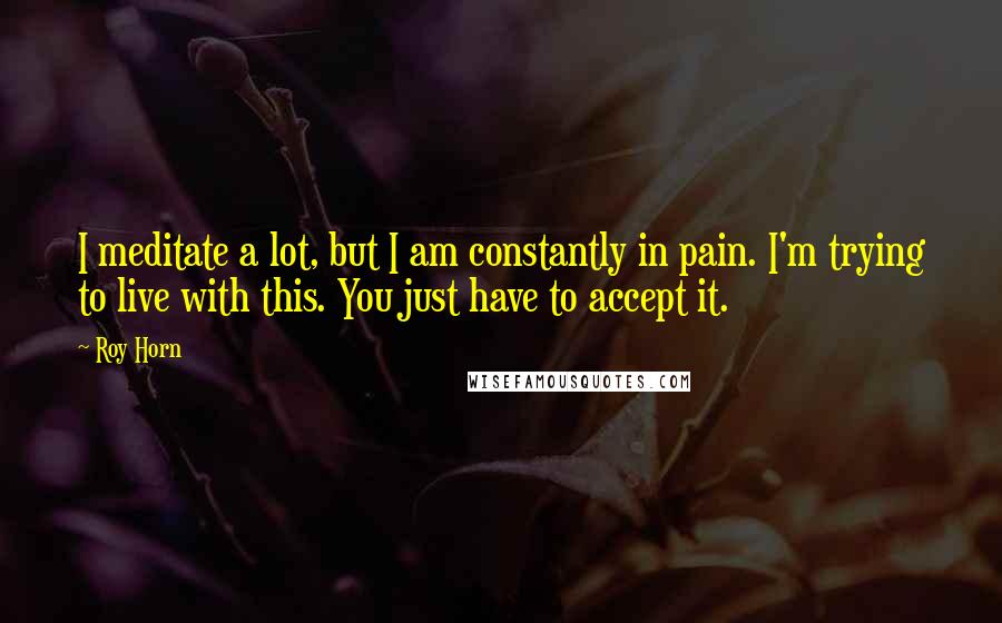Roy Horn Quotes: I meditate a lot, but I am constantly in pain. I'm trying to live with this. You just have to accept it.