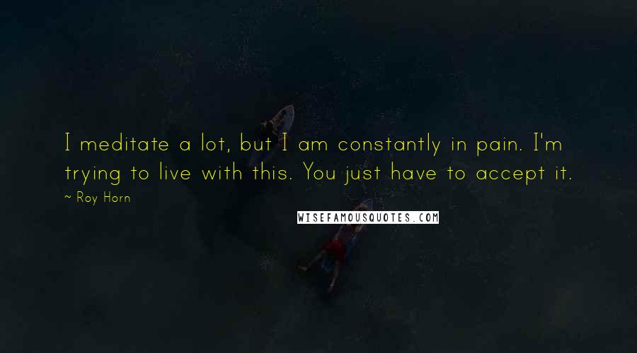 Roy Horn Quotes: I meditate a lot, but I am constantly in pain. I'm trying to live with this. You just have to accept it.