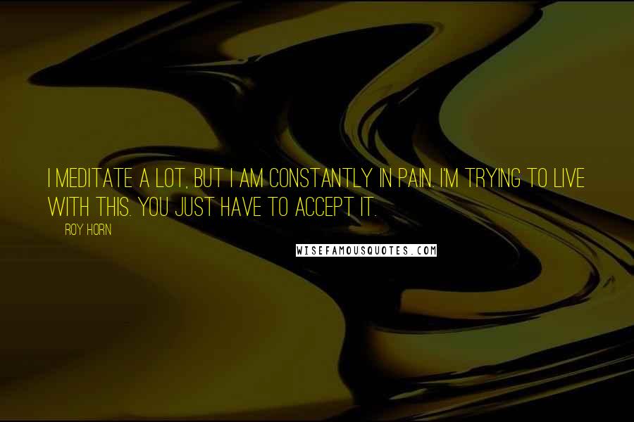 Roy Horn Quotes: I meditate a lot, but I am constantly in pain. I'm trying to live with this. You just have to accept it.