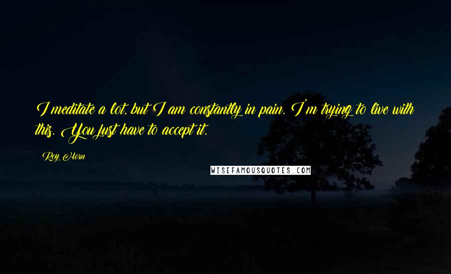 Roy Horn Quotes: I meditate a lot, but I am constantly in pain. I'm trying to live with this. You just have to accept it.